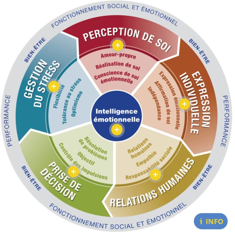 Quest Ce Que Lintelligence Motionnelle Rh Indigo